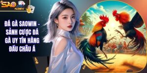 đá gà Saowin