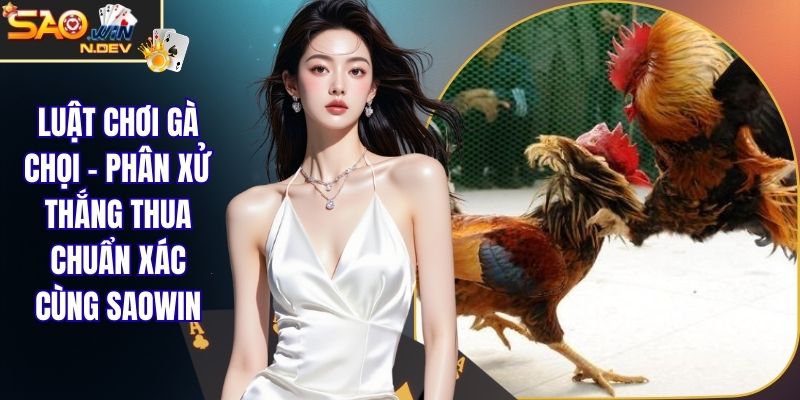 luật chơi gà chọi